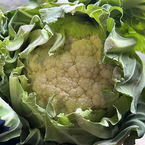 Chou-fleur origine France