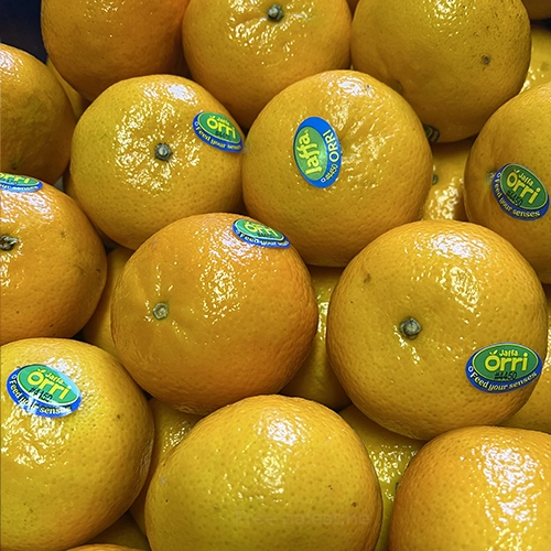 Clémentine origine Israël 5€/kg