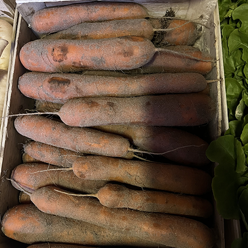 Carottes sables origine France 2€/kg