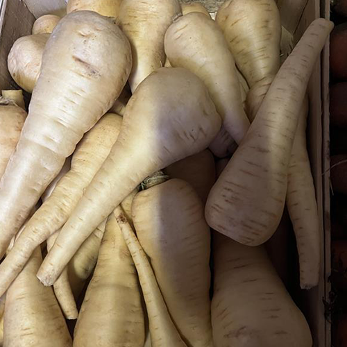Panais origine France 2,5€/kg