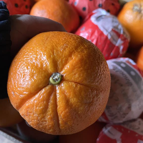 Orange origine Espagne 2,20€/kg