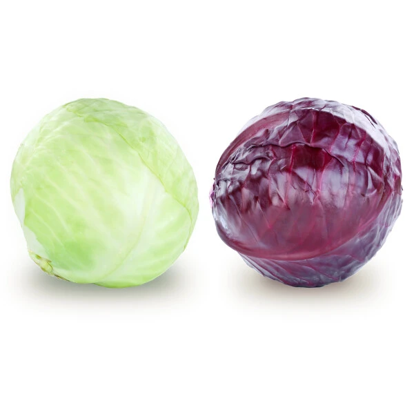 Chou vert et rouge